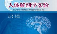 高等院校医学与生命科学系列实验教材_人体解剖学实验-王俊波 PDF电子版下载