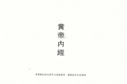 倪海厦《黄帝内经》(神州医料库) PDF电子版下载