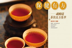 喝茶有道保健有方_400道茶饮良方集萃(大茶系列)-姚松涛 PDF电子版下载