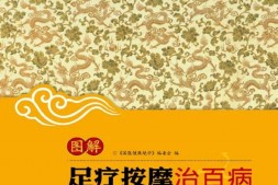 图解足疗按摩治百病(国医健康绝学(第1辑)) PDF电子版下载