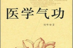 新医学气功-杨峰 PDF电子版下载