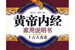 黄帝内经家用说明书 PDF电子版下载