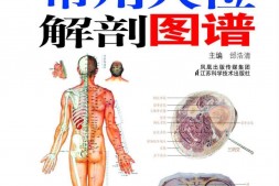 常用穴位解剖图谱(全彩图解)-邰浩清 PDF电子版下载