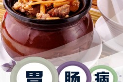 胃肠病食疗药膳(美食与保健)-严锴编 PDF电子版下载