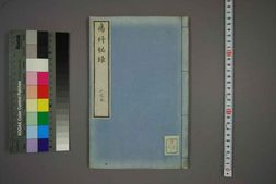 中医古籍-疡科秘录卷六之上 PDF电子版下载