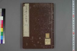 中医古籍-远西医方名物考卷八 PDF电子版下载
