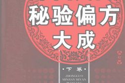 中国民间秘验偏方大成下修订版-史书达编著 PDF电子版下载