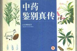 中药鉴别真传 PDF电子版下载