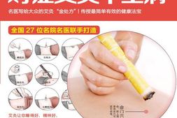 名医教你对症艾灸不生病(名医话健康系列27位名院名医联手打造！)-温玉波；成泽东 PDF电子版下载