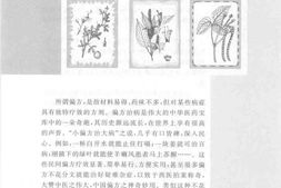 图解民间偏方-雷子，林静编著 PDF电子版下载