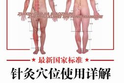 最新国家标准针灸穴位使用详解-睢明河、刘温丽 PDF电子版下载