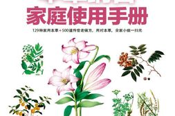 本草纲目家庭使用手册(速查超图解系列传统医学经典活学活用，一部本草养全家！)-吴剑坤；于雅婷 PDF电子版下载