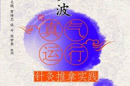 李少波真气运行针灸推拿实践(中医师承学堂)-李少波&李天晓&贾海忠&谈升&焦世袭 PDF电子版下载