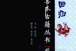 海外回归中医善本古籍丛书续第8册-曹洪欣主编 PDF电子版下载