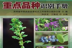 贵州中药资源普查重点品种识别手册-孙庆文&江维克 PDF电子版下载