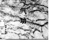 针灸与气功 PDF电子版下载