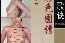 针灸歌诀配彩色图谱-徐玉琢编著 PDF电子版下载