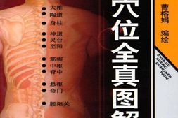针灸穴位全真图解-郭长青刘乃刚曹榕娟 PDF电子版下载