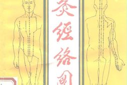 针灸经络图解 PDF电子版下载