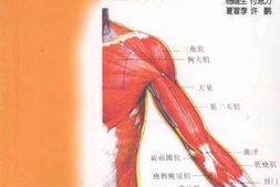 针灸经络穴位速记手册 PDF电子版下载
