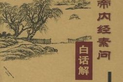 黄帝内经素问白话解-王洪图 PDF电子版下载